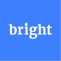 Brightdata Logo