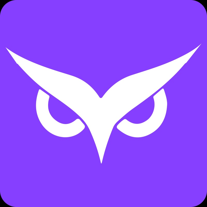 Owlity Logo